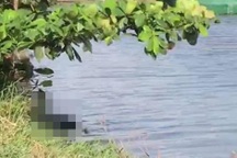 Thi thể 2 người đàn ông nổi trên sông Sài Gòn