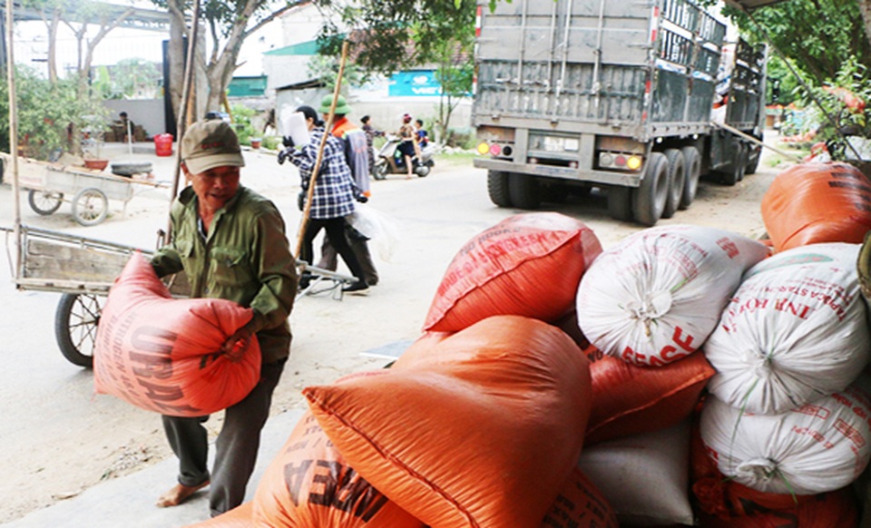 Vì sao doanh nghiệp “chật vật” thu mua lúa của nông dân? - 1 Vì sao doanh nghiệp “chật vật” thu mua lúa của nông dân? - 1