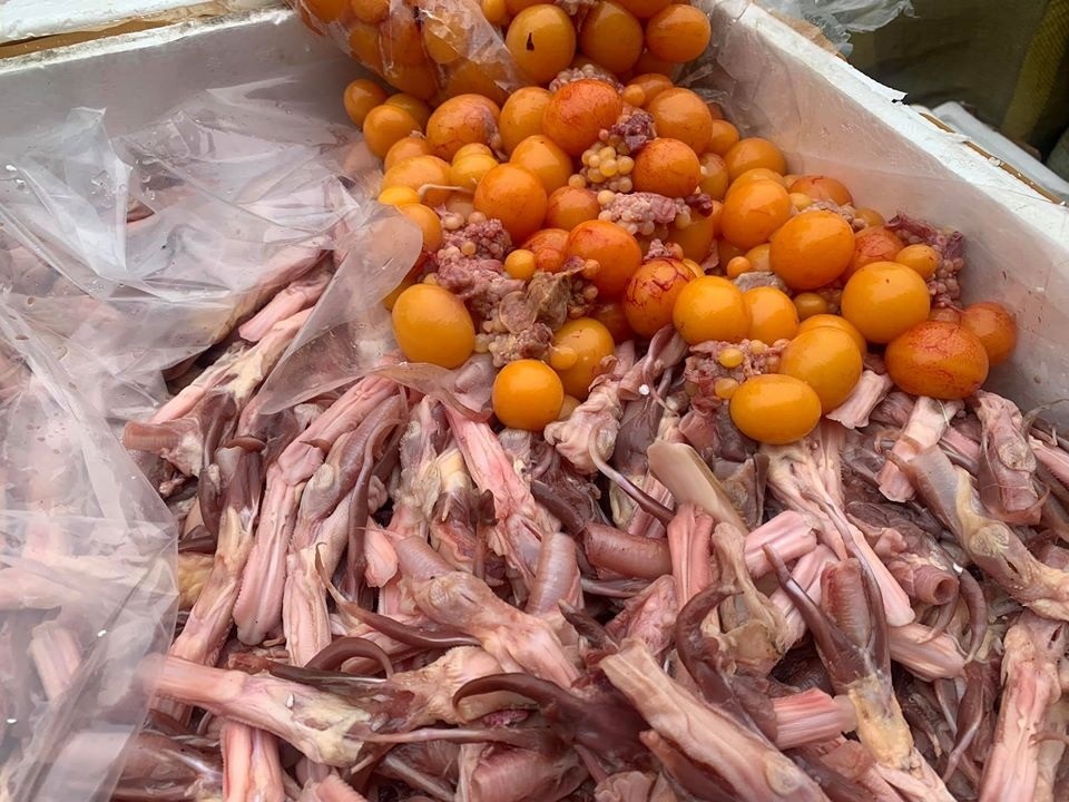 Hà Nội: Cảnh sát bắt hàng tấn lưỡi vịt, trứng non nhập lậu chuẩn bị mang đi tiêu thụ - 3 Hà Nội: Cảnh sát bắt hàng tấn lưỡi vịt, trứng non nhập lậu chuẩn bị mang đi tiêu thụ - 3