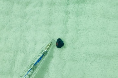 Quảng Nam: Gắp rận chó trong tai trẻ 8 tuổi