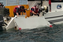 Thân nhân hành khách MH370 tìm thấy mảnh vỡ nghi của máy bay mất tích