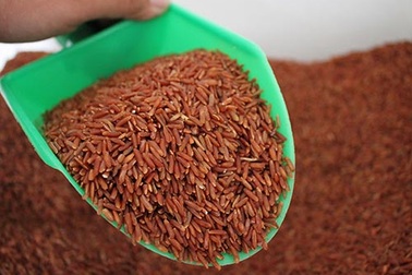  Gạo lứt muối mè: Biết cách ăn mới tốt 