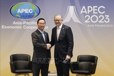 Chủ tịch nước Võ Văn Thưởng tiếp Thủ tướng Australia, Tổng thống Peru