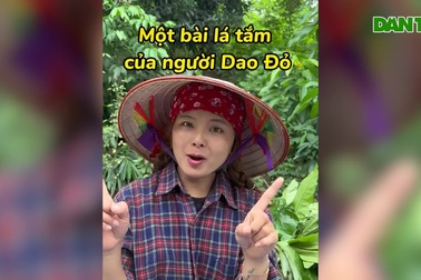 Cô gái chăn trâu người Dao và hành trình du học châu Âu về đổi phận nghèo