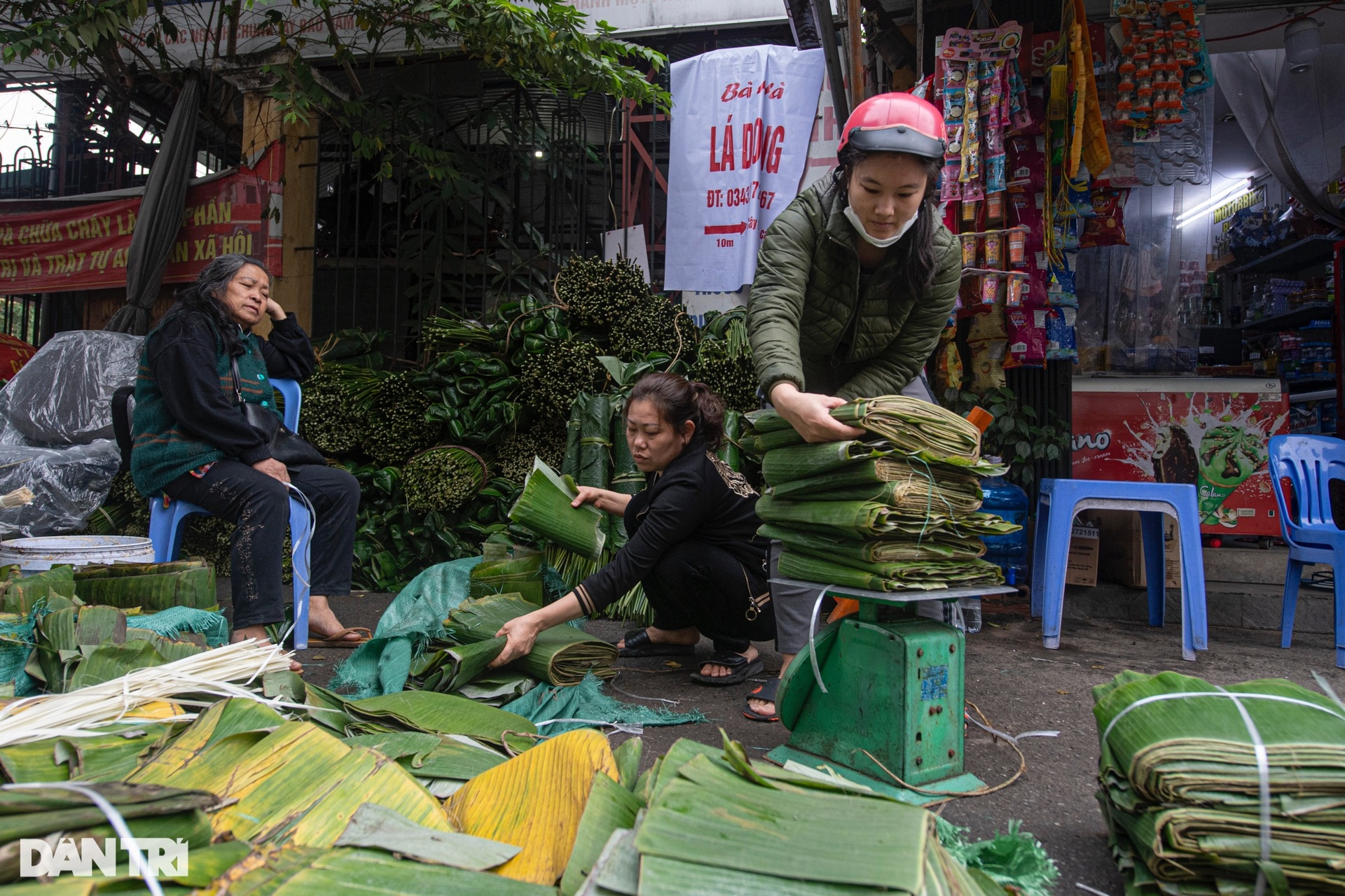 Lá dong đắt gấp 3, người dân vẫn phấn khởi mua gói bánh chưng - 13 Lá dong đắt gấp 3, người dân vẫn phấn khởi mua gói bánh chưng - 13