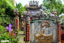 Làng nhiều sắc phong nhất Quảng Nam và chuyện ly kỳ về cây đa làng