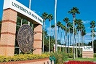 Tại sao tôi chọn Đại học South Florida, Mỹ?