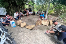 Trinh sát vờ làm người mua đất đột nhập triệt phá sòng bạc