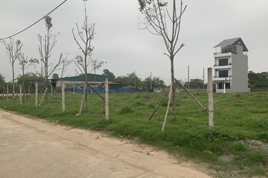 Cò đất "mượn" danh cầu Tứ Liên rao đất Đông Anh tăng cả chục triệu đồng/m2