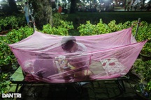 Người bán hoa mắc màn, võng... xuyên đêm canh cây cảnh Tết ở TPHCM