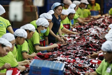 “Tận dụng tốt thời cơ, Việt Nam có thể trở thành công xưởng mới của thế giới”