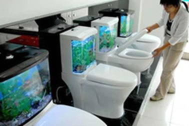 Toilet bể cá