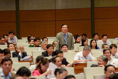 Quốc hội “lệnh” giữ môn lịch sử trong sách giáo khoa mới