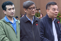 Nhật ký xét xử Việt Á: Vụ án "thông đồng cấu kết tham nhũng có hệ thống"