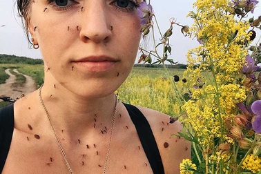 “Rùng mình” với bức hình mùa hè ở vùng đất lạnh nhất thế giới