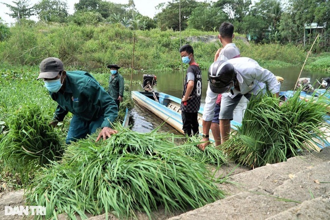 Xôn xao với mức thưởng Tết khủng 60-200 triệu giữa khó khăn Covid-19 - 11 Xôn xao với mức thưởng Tết khủng 60-200 triệu giữa khó khăn Covid-19 - 11