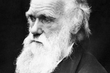 Hé lộ căn bệnh quái lạ đầy bí ẩn của nhà bác học Charles Darwin