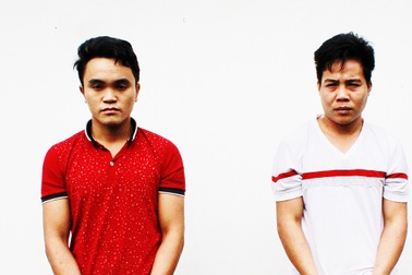 Khởi tố 2 đối tượng vụ 1.200 gốc chanh leo bị chặt phá