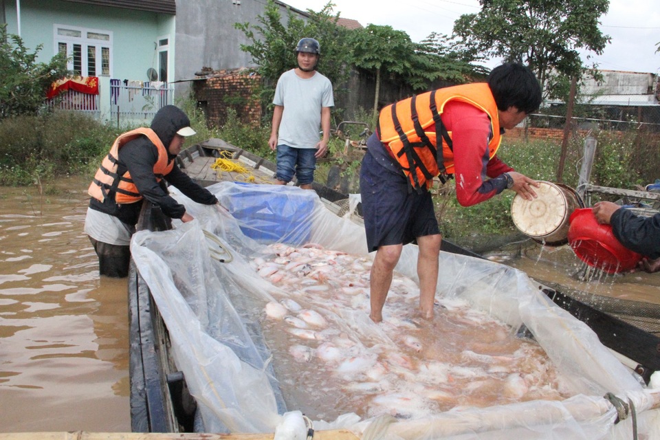 Một nam thanh niên mất tích trong mưa lũ khi đang chèo thuyền chở cá - 2 Một nam thanh niên mất tích trong mưa lũ khi đang chèo thuyền chở cá - 2