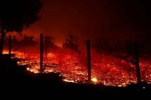 California thuê tù nhân dập cháy rừng thảm khốc nhất trong lịch sử