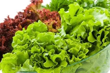 Điểm tên những loại rau nên trồng vào mùa mưa