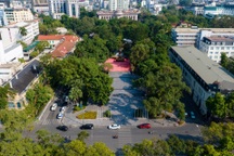 Sở Xây dựng vào cuộc vụ đề xuất dịch chuyển cây ở vườn hoa Lý Thái Tổ