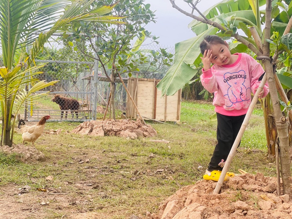 Ông bố 3 con mê làm vườn, thích sưu tầm sản vật quý ở vùng cao về Thủ đô - 5 Ông bố 3 con mê làm vườn, thích sưu tầm sản vật quý ở vùng cao về Thủ đô - 5