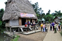 Xuất hiện “thú lạ” nghi bò tót ở vùng núi Quảng Nam