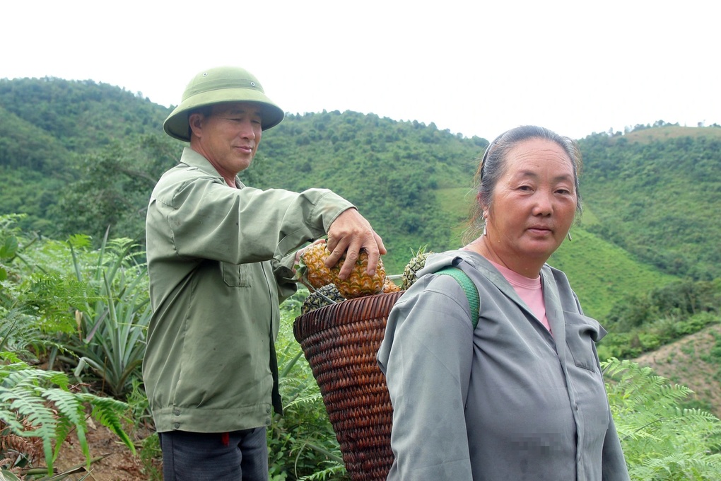 Người dân vùng cao oằn lưng bế quả ngọt lịm trên núi xuống bán - 3