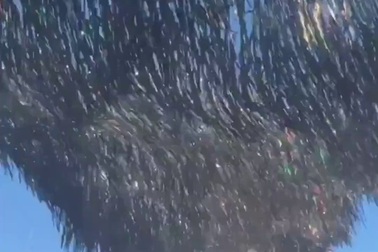 Độc đáo một tác phẩm điêu khắc giống như một sóng nước