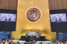 Việt Nam lên tiếng tại phiên họp khẩn cấp về tình hình chiến sự Ukraine