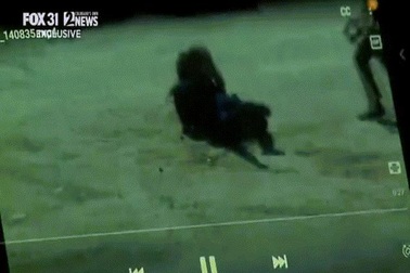 Nữ cảnh sát dũng cảm dùng tay không chống lại sư tử núi