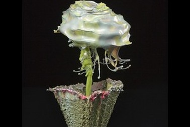 Tuyệt đẹp bộ ảnh nghệ thuật từ chất lỏng