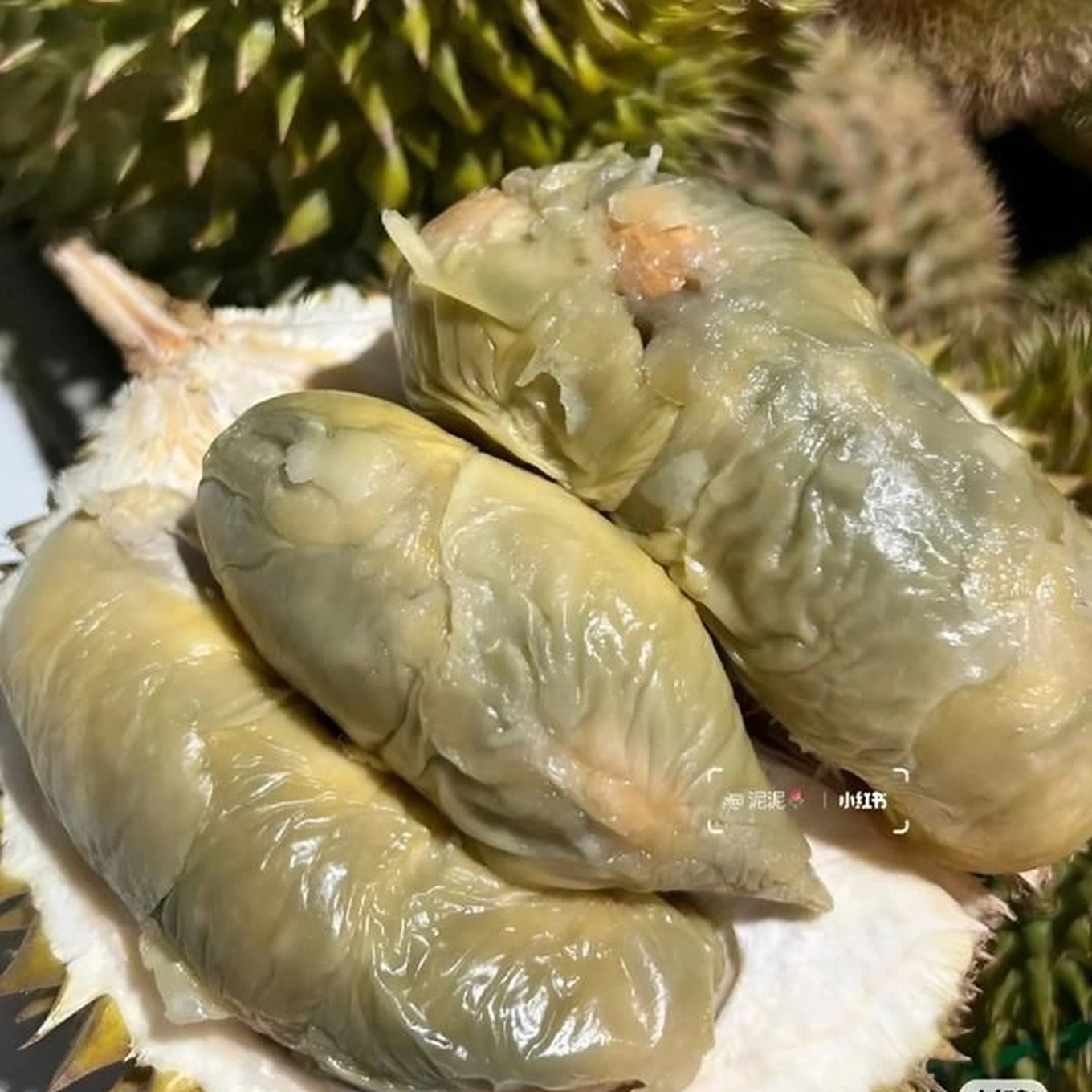sau-rieng-nhin-nhu-nhun-chay-nuoc-moc-xanh-ban-gia-soc-700-edited-1747716231111.jpeg