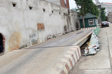 Phó Thủ tướng yêu cầu làm rõ trách nhiệm tổ chức, cá nhân trong vụ Minh "sâm"