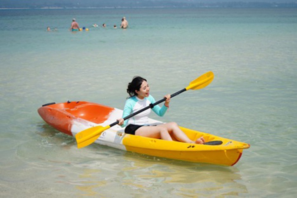 Lợn rừng “minh tinh”: Điểm nhấn trên bãi biển Koh Samui - 6 Lợn rừng “minh tinh”: Điểm nhấn trên bãi biển Koh Samui - 6