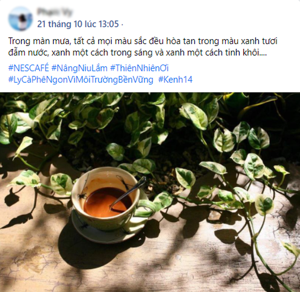 Hẹn hò cùng góc xanh - giới trẻ chia sẻ khoảnh khắc nâng niu thiên nhiên - 2