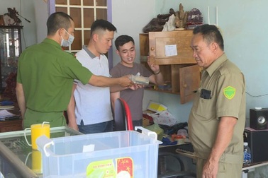 Ngang nhiên bày bán hàng trăm sản phẩm trang sức bằng ngà voi