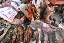 Ở nơi thịt chuột được coi là đặc sản "tuyệt đỉnh kungfu" còn phổ biến hơn gà hay lợn