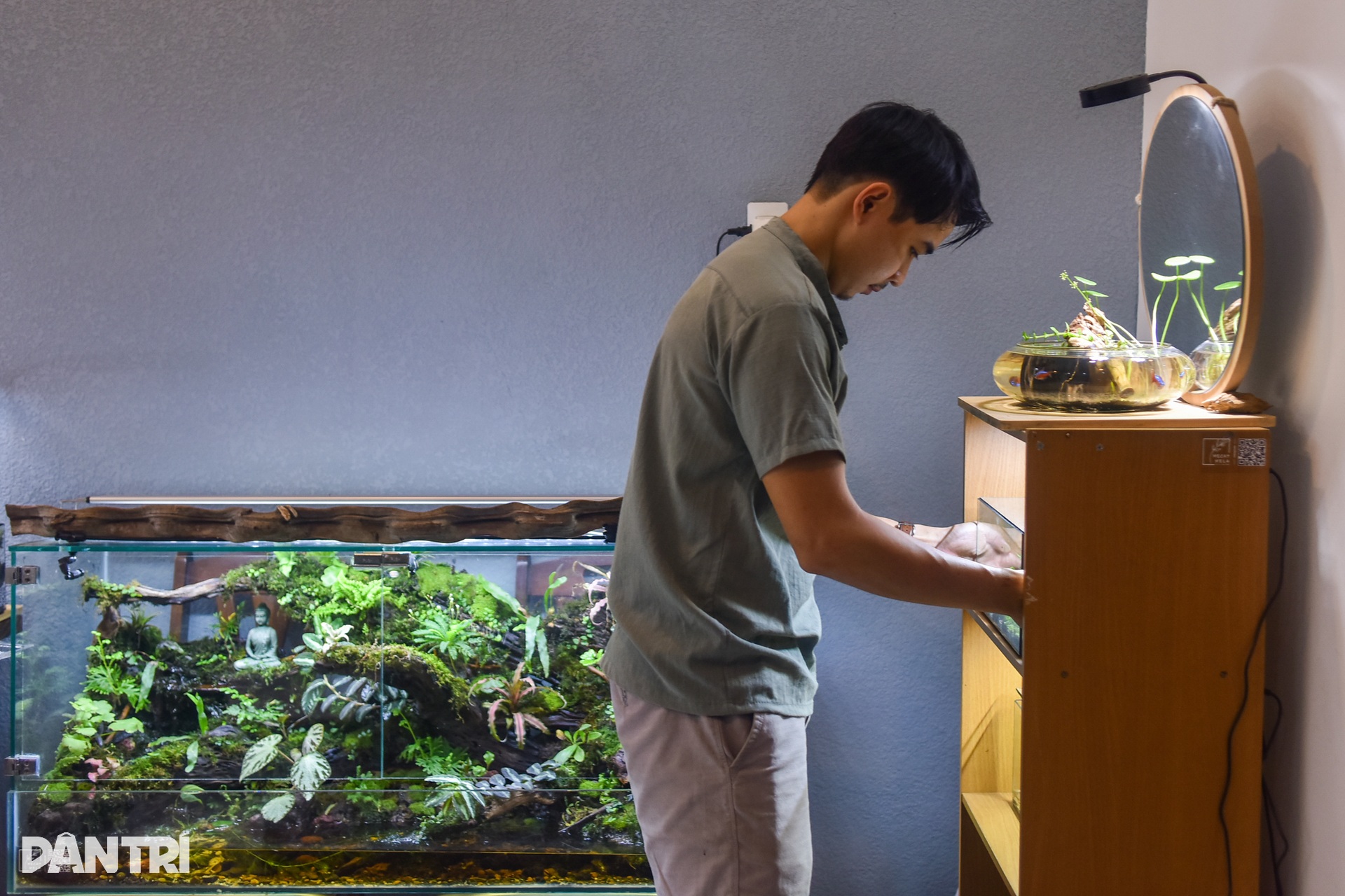 Chàng trai mang cả khu rừng nhiệt đới vào bình thủy tinh - 5