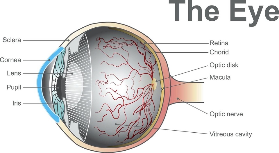Thiết bị đặc biệt mới giúp phát hiện sớm các vấn đề về thị lực - 1 Thiết bị đặc biệt mới giúp phát hiện sớm các vấn đề về thị lực - 1