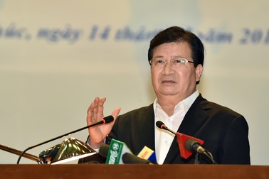 Tích tụ ruộng đất, không “đo” nhu cầu thị trường sẽ thất bại