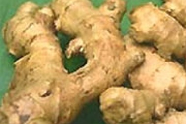 Gừng làm dịu cảm giác buồn nôn ở thai phụ