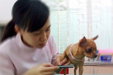 Dịch vụ “độc” hút khách 