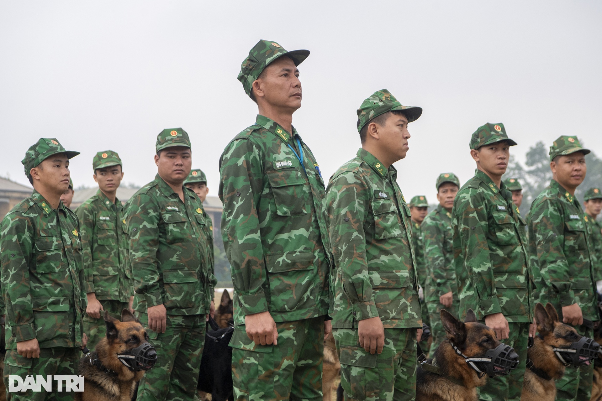 Quân khuyển trình diễn vượt vòng lửa, bắt tội phạm ở Triển lãm Quốc phòng - 5 Quân khuyển trình diễn vượt vòng lửa, bắt tội phạm ở Triển lãm Quốc phòng - 5