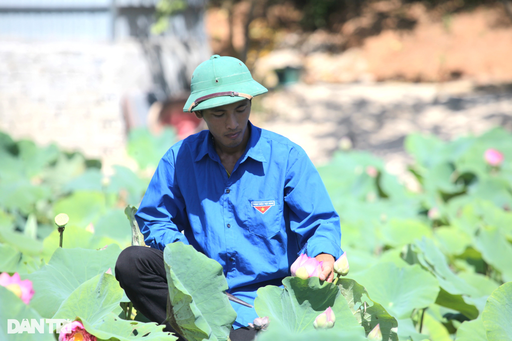 Chàng kỹ sư trẻ bỏ việc ở thủ đô về quê bắt bãi đất hoang nở ra tiền - 3 Chàng kỹ sư trẻ bỏ việc ở thủ đô về quê bắt bãi đất hoang nở ra tiền - 3