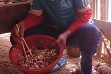 Đói rét đe dọa hàng chục ngàn dân