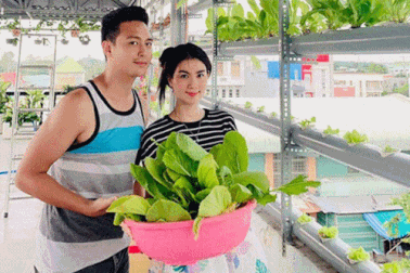 Vườn rau thủy canh ấn tượng trên sân thượng nhà nữ diễn viên “Cổng mặt trời”