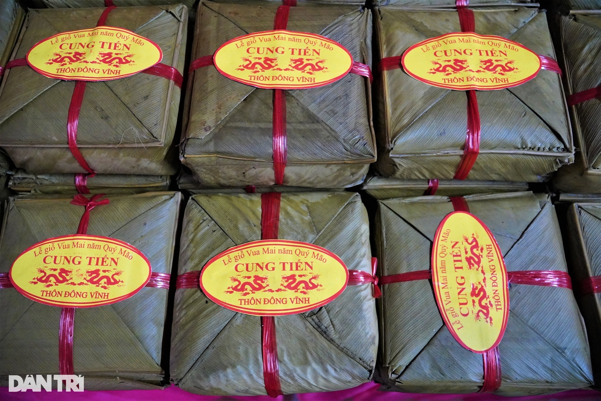 6.000 người gói hàng nghìn chiếc bánh chưng dâng vua Mai Hắc Đế - 9 6.000 người gói hàng nghìn chiếc bánh chưng dâng vua Mai Hắc Đế - 9