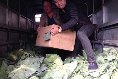 Bắt giữ hơn 1 tạ pháo giấu dưới rau bắp cải, xu hào